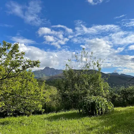 Casa Del Gelso * Vigneta