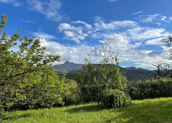 Casa Del Gelso * Vigneta